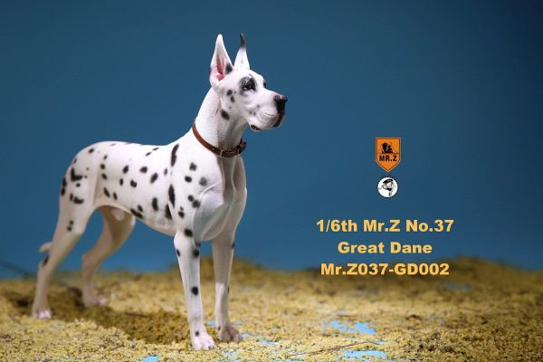 MRZGD037GD02-06 Deutsche Dogge - D