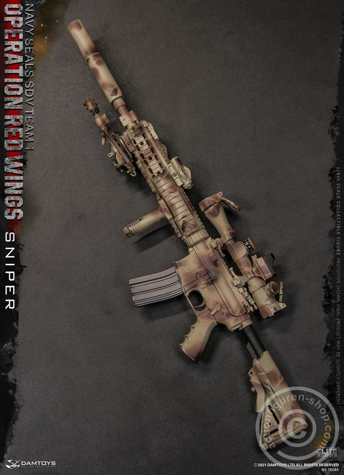 Operation Red Wings - NAVY SEALS SDV TEAM 1 - Sniper