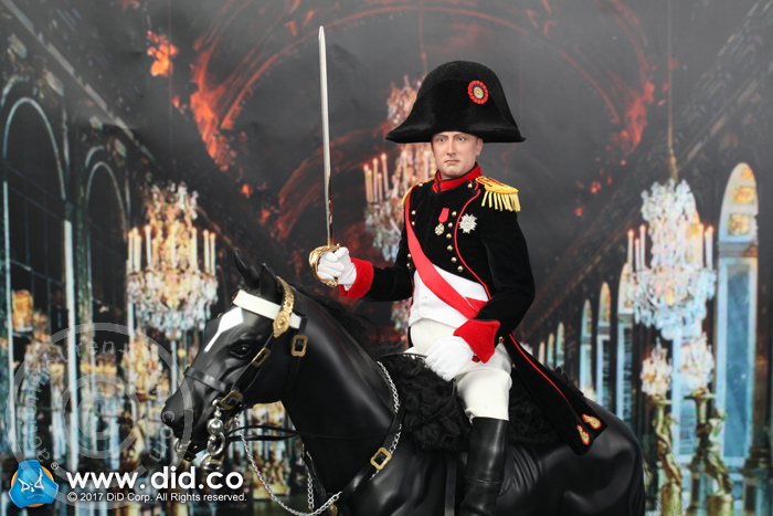 80122-12 Napoleon Bonaparte - Battle Version