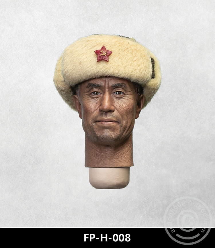 Kopf - männlich - asian - older Kopf - männlich - asian - older
