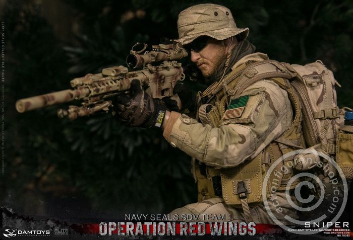 Operation Red Wings - NAVY SEALS SDV TEAM 1 - Sniper