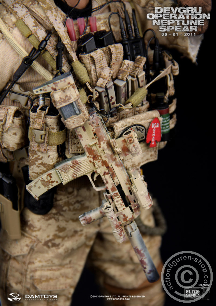DA78012-21 DEVGRU Operation Neptune Spear