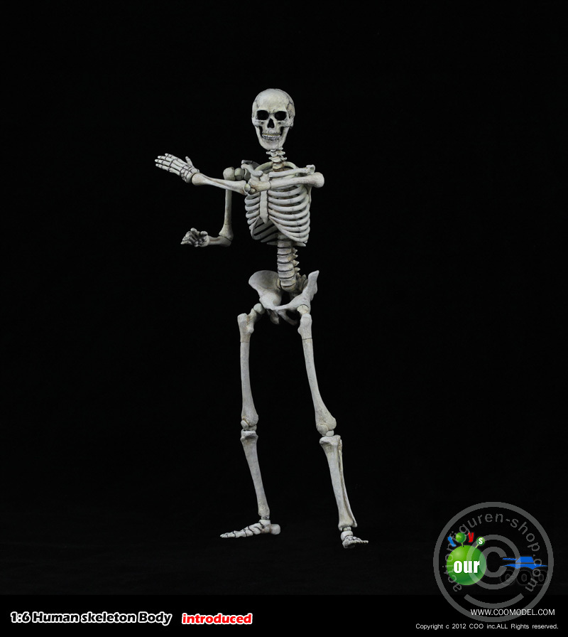 Skeleton Spear Soldier - Human Skeleton in 1:6