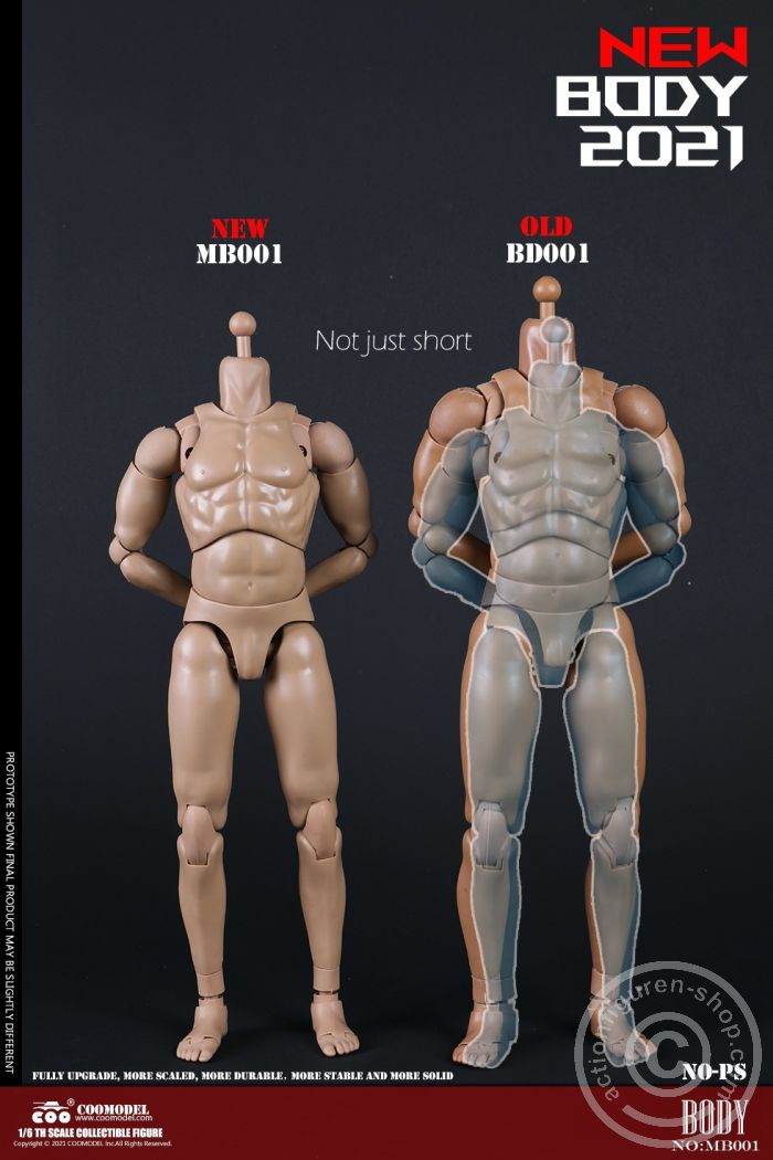 Standard Male Body - New Type