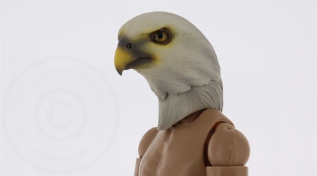 TC-M1007C-02 Vogel Kopf für 1:6 Figuren