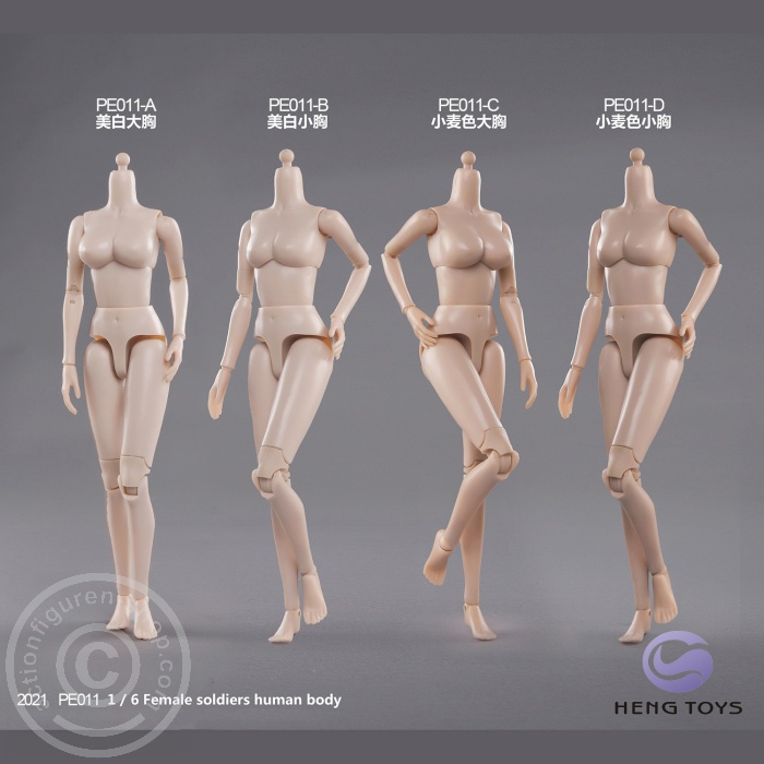 HTPE011-01jxvEJOCyJwu7j Highly Mobile Female Body - sun-tan/bigger Breast
