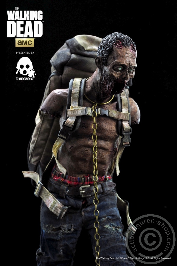 3A-Pet2-05OuIYCYF00HcAa Michonne Zombie Pet 2 (red)