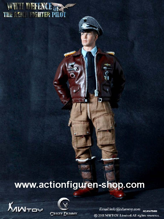 German Fighter Pilot - Defense of the Reich