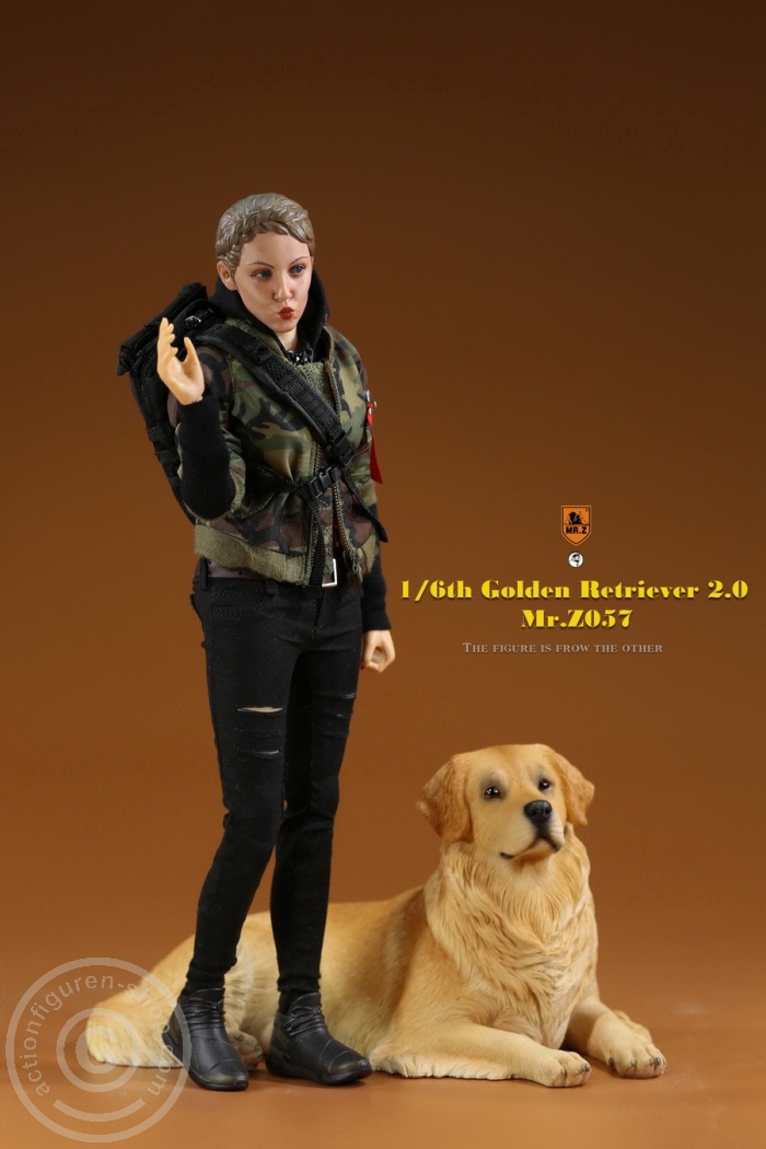 MRZ057-03 Golden Retriever 2.0 - lying