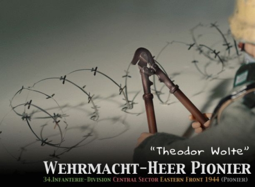 70237-6 Theodor Wolte