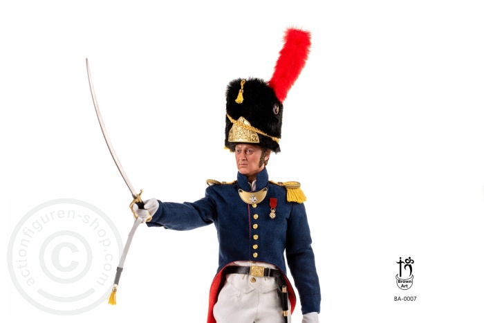 Napoleonic - Subaltern of The French Imperial Guard