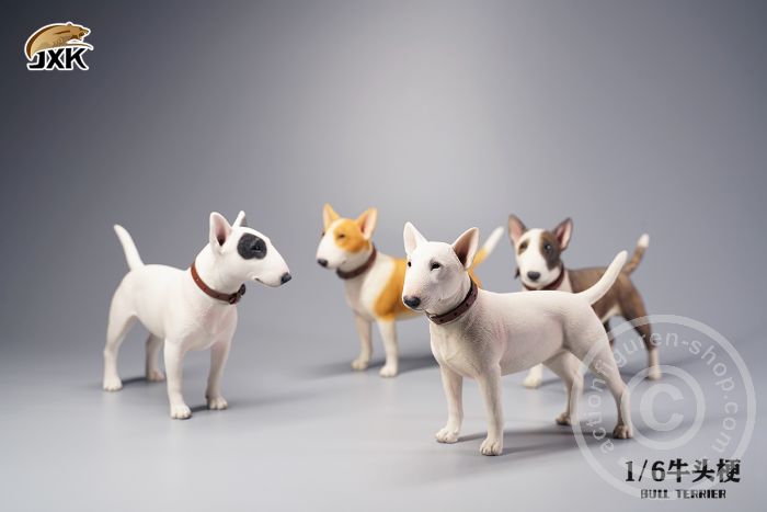 Bull Terrier - white/brown