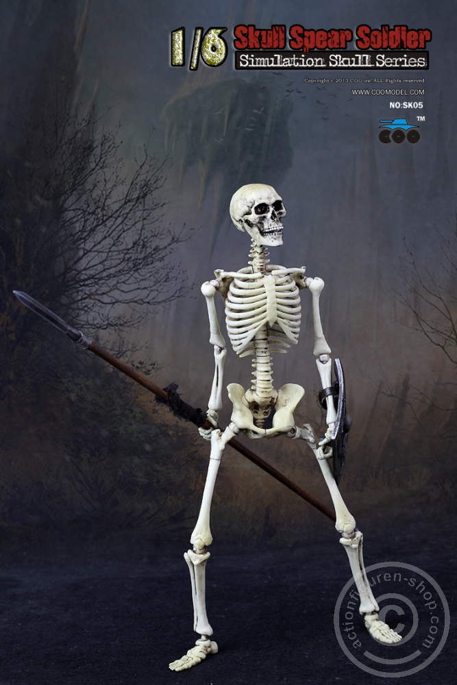 Skeleton Spear Soldier - Human Skeleton in 1:6