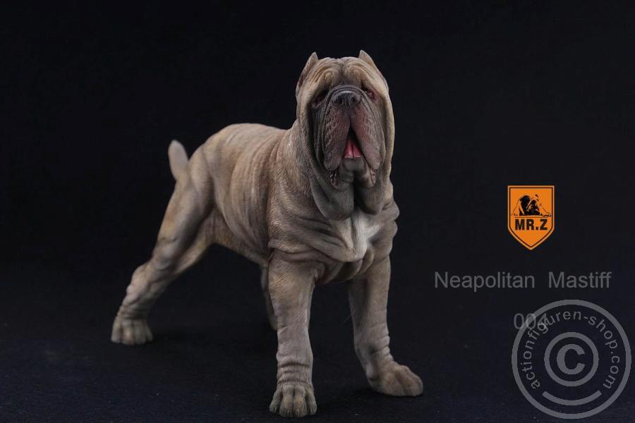 Neapolitan Mastiff - tan