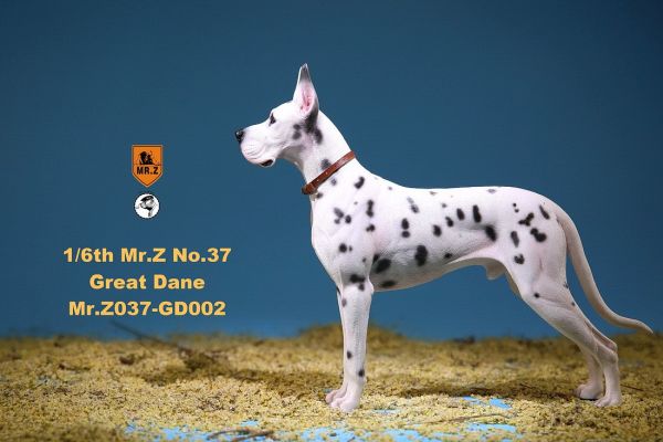 MRZGD037GD02-05 Deutsche Dogge - D