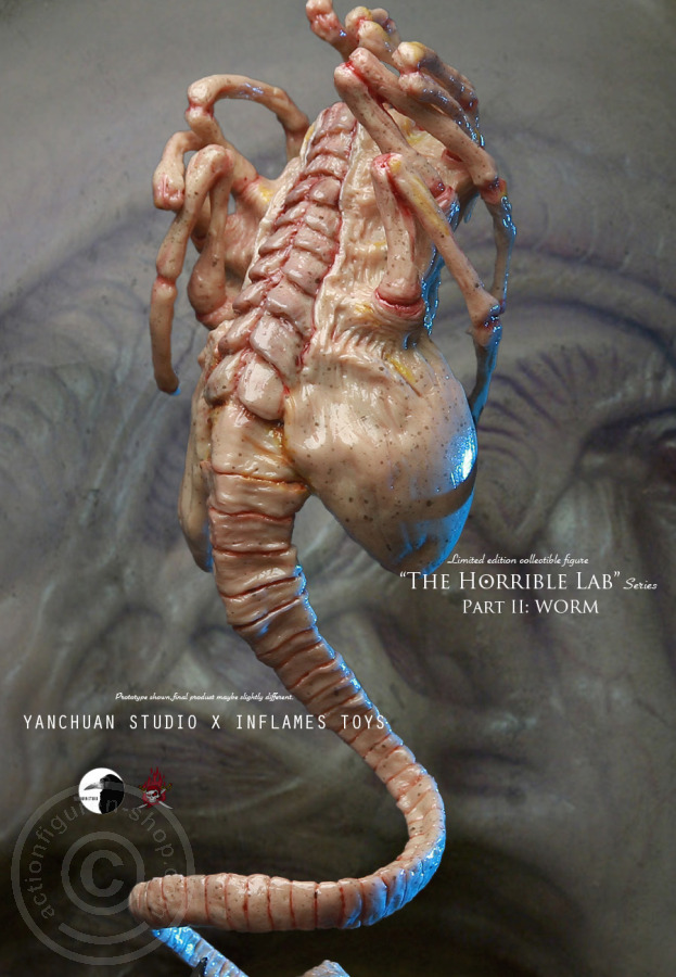 IFT-022-16 The Horrible Lab Series - WORM