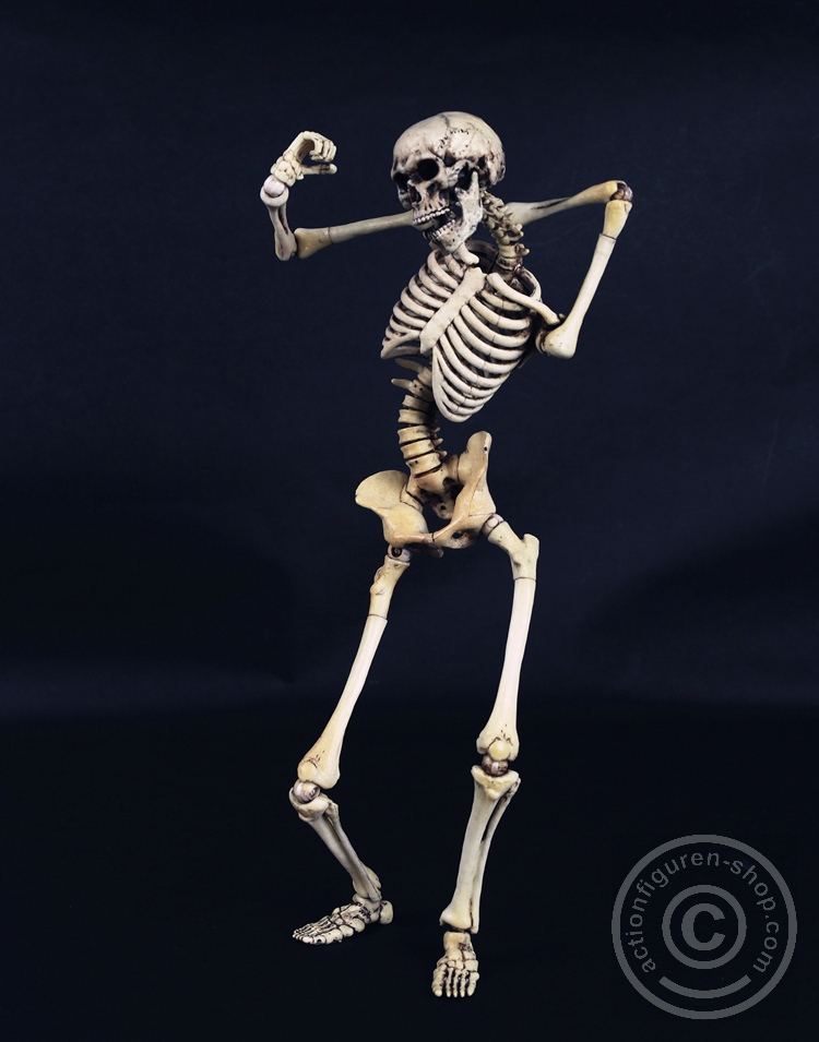 Skeleton Spear Soldier - Human Skeleton in 1:6
