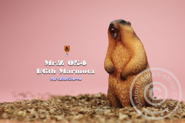 MRZ054-04-04 Marmota