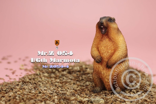 MRZ054-04-03 Marmota