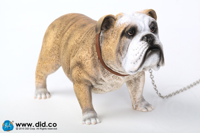 AS002A-06 British Bulldog - Version A