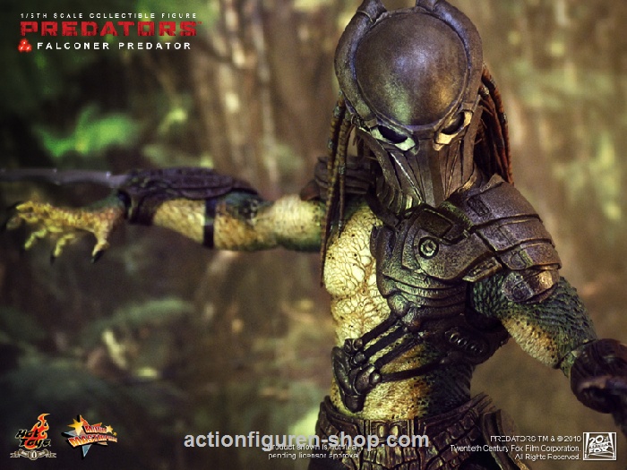 Predators - Falconer