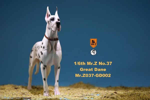 MRZGD037GD02-04 Deutsche Dogge - D