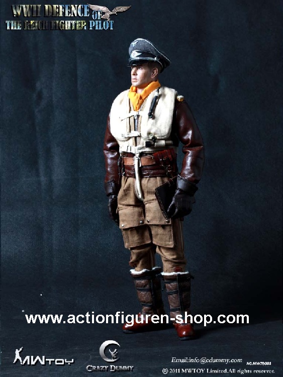 German Fighter Pilot - Defense of the Reich