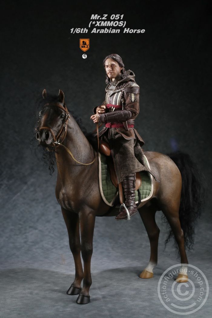 MRZ051-03-10 Arabian Horse w/ full European Harness - dark-brown