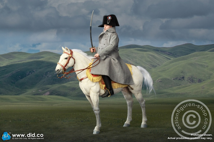 Costume Set for Napoleon (Green) Costume Set for Napoleon (Green)