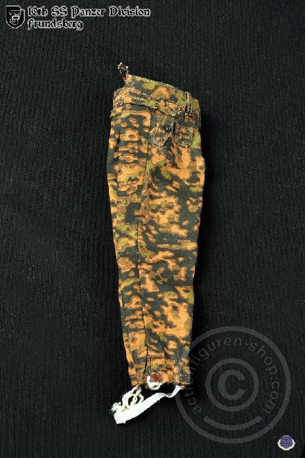 CAL8015-17Tsh7oVYW0rzJF German 10th SS Panzer Division Frundsberg
