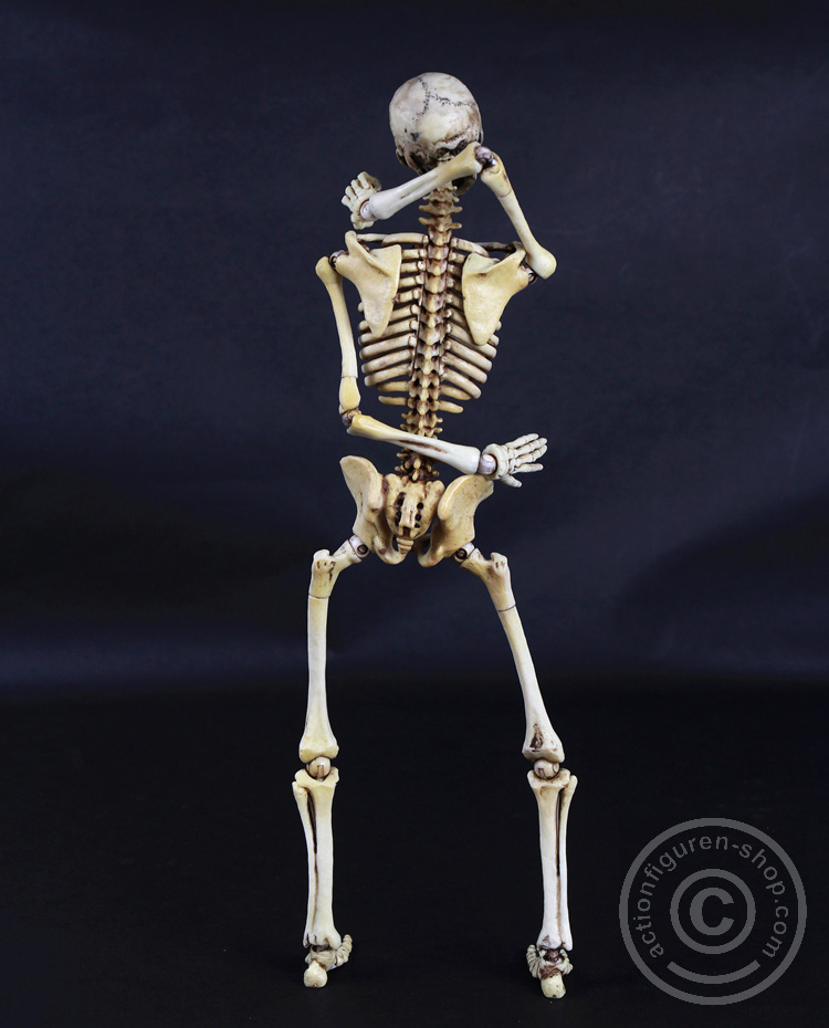 Skeleton Spear Soldier - Human Skeleton in 1:6