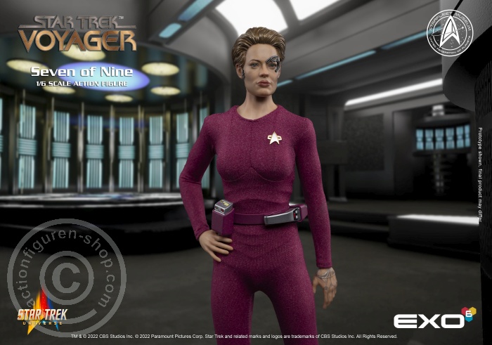 Star Trek: Voyager - Seven of Nine