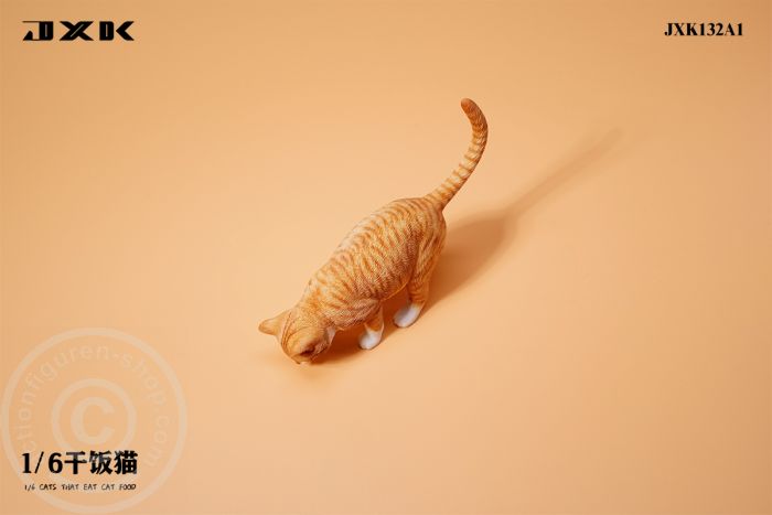 Cats That Eat Cat Food - A1 Cats That Eat Cat Food - A1