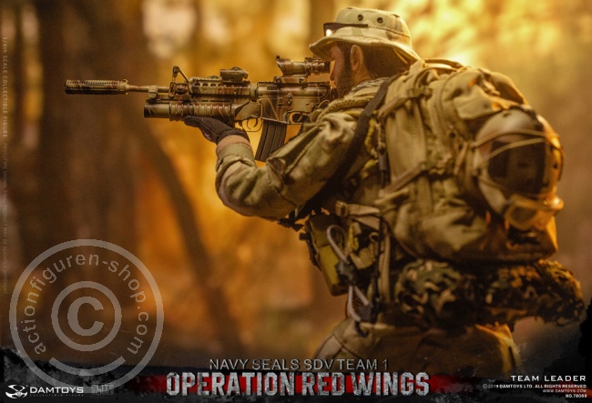DA78069-08ZswanaqU3kbve Operation Red Wings - NAVY SEALS SDV TEAM 1 - Team Leader