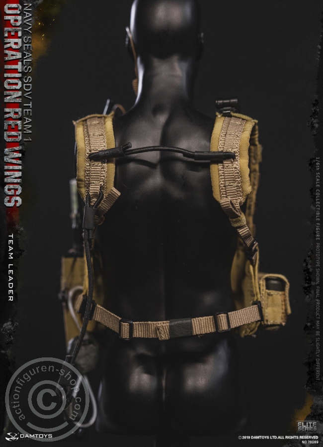 DA78069-321zPw6Hy1snTSx Operation Red Wings - NAVY SEALS SDV TEAM 1 - Team Leader