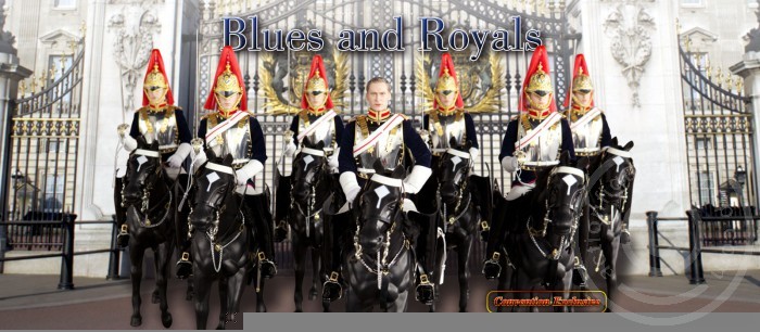 Blues and Royals mit Pferd - Show Exclusive