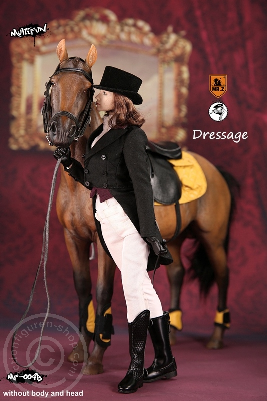 MRZ004B-15uEM5GIeJuhgIh Dressage Set B