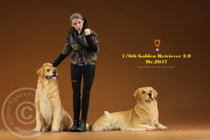 MRZ057-01 Golden Retriever 2.0 - lying