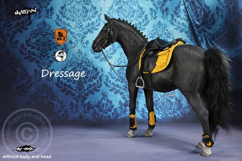 MRZ004A-03 Dressage Set A