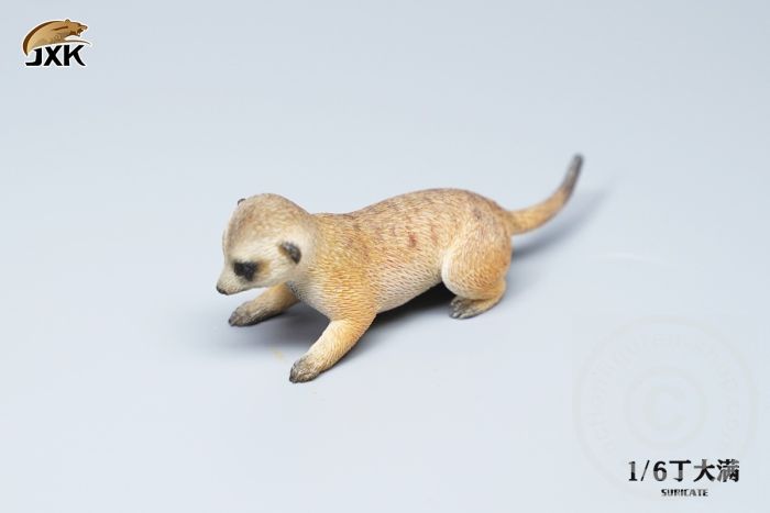 jxk079-045Er0eNX2j6gZD Suricate Set