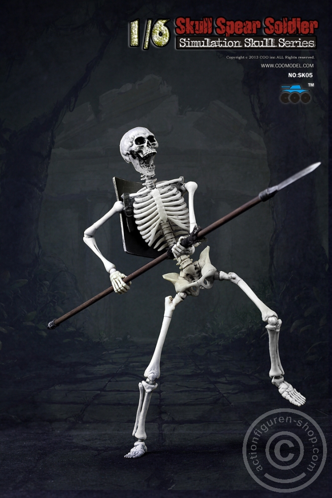 Skeleton Spear Soldier - Human Skeleton in 1:6
