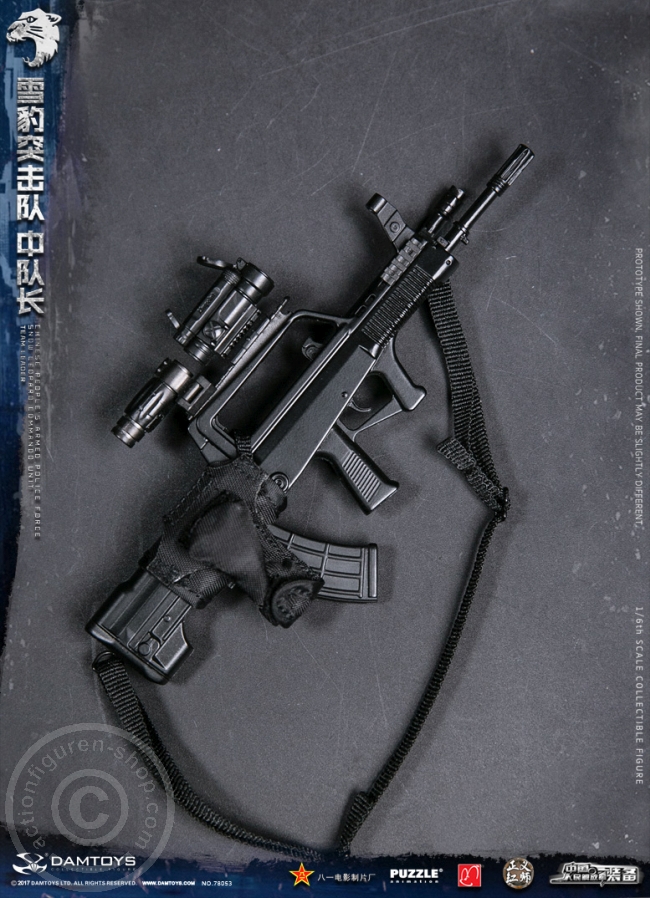 DA78053-18 China People Armed Police Force - Snow Leopard Commando Leader