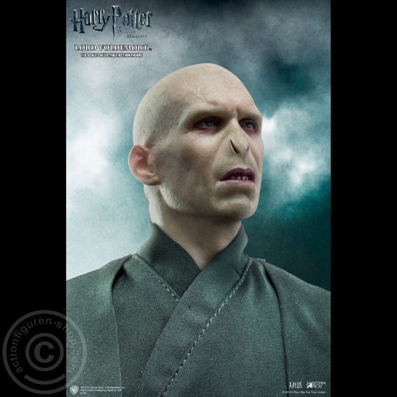 Lord Voldemort - Harry Potter und die Heiligtümer des Todes