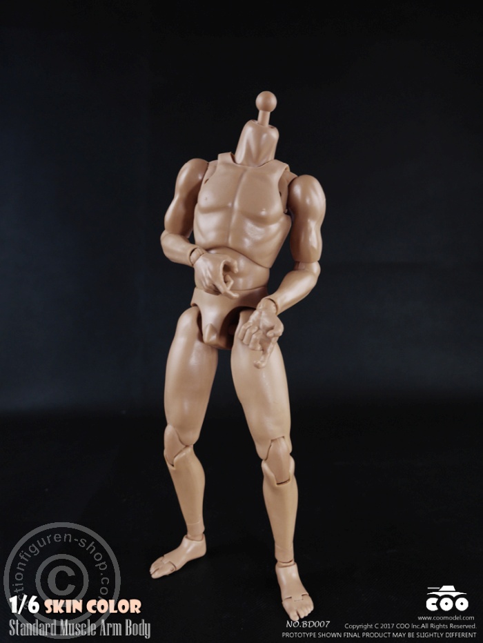 Male Body 2.0 - Muscular - 25cm