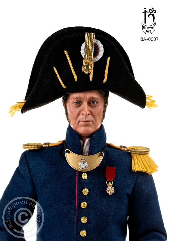 Napoleonic - Subaltern of The French Imperial Guard