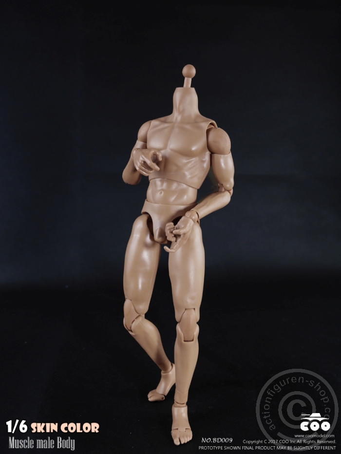 Male Body 2.0 - Muscular - 27cm