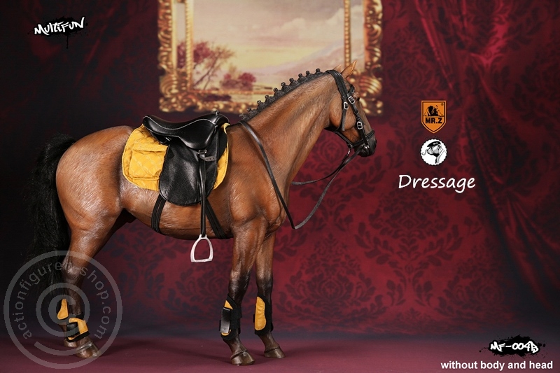 Dressage Set B