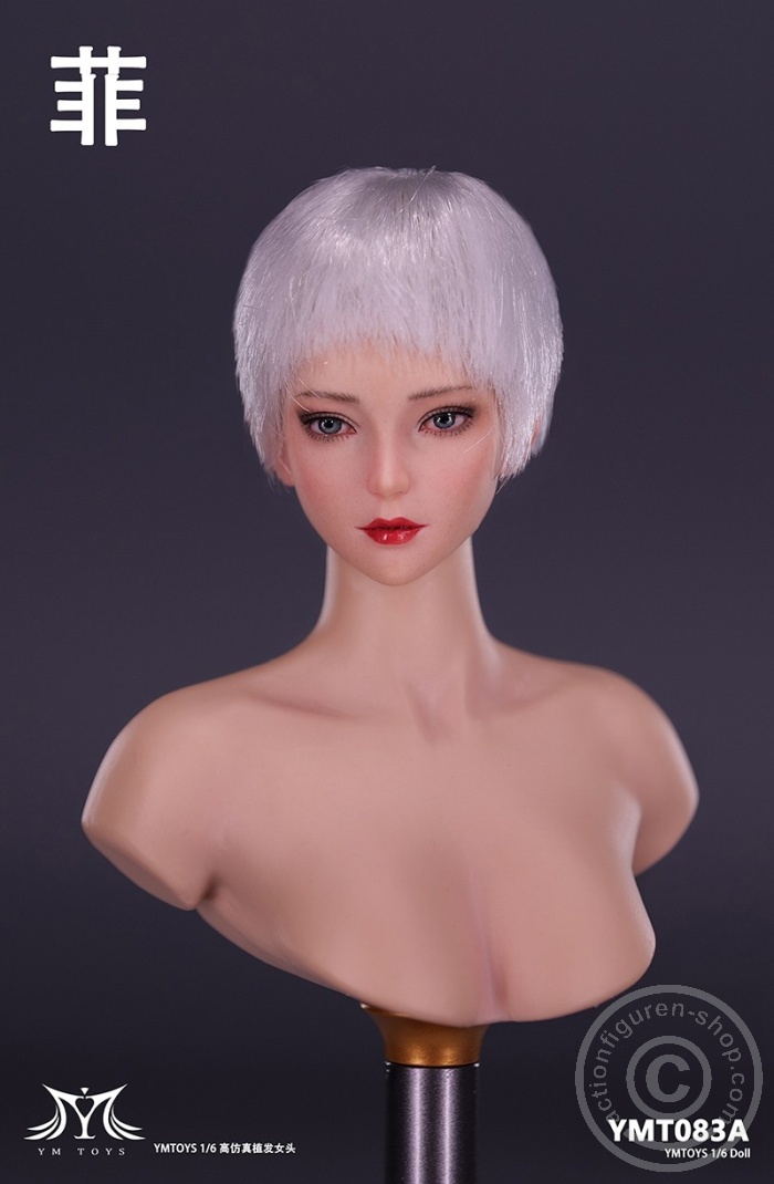 Female Head - Fei - short silver Hair Female Head - Fei - short silver Hair