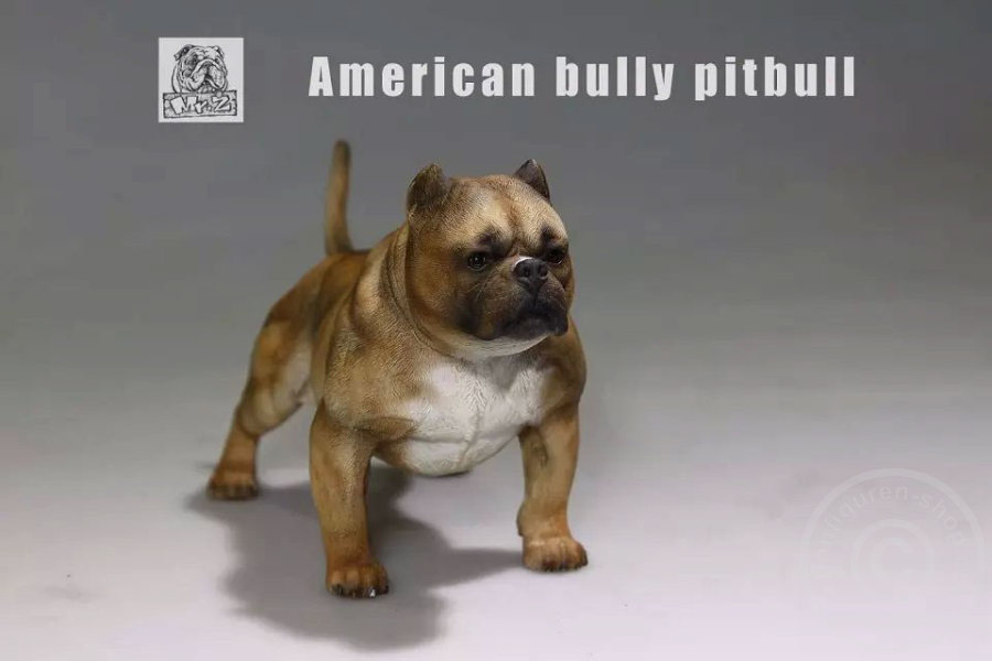 MRZ001-08 American Bully Dog - dark color