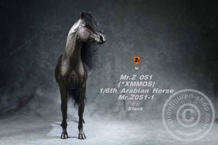 Arabian Horse w/ full European Harness - black